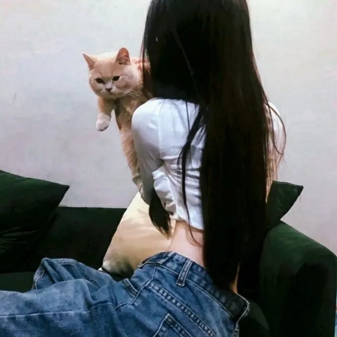 经典剧集